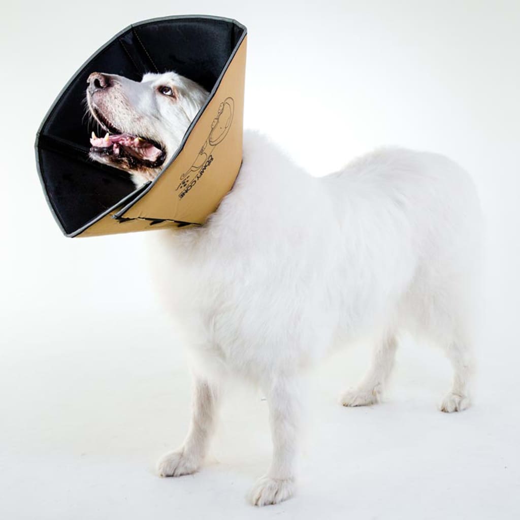 All Four Paws Collar electrónico de mascotas Comfy Cone marrón L 25 cm