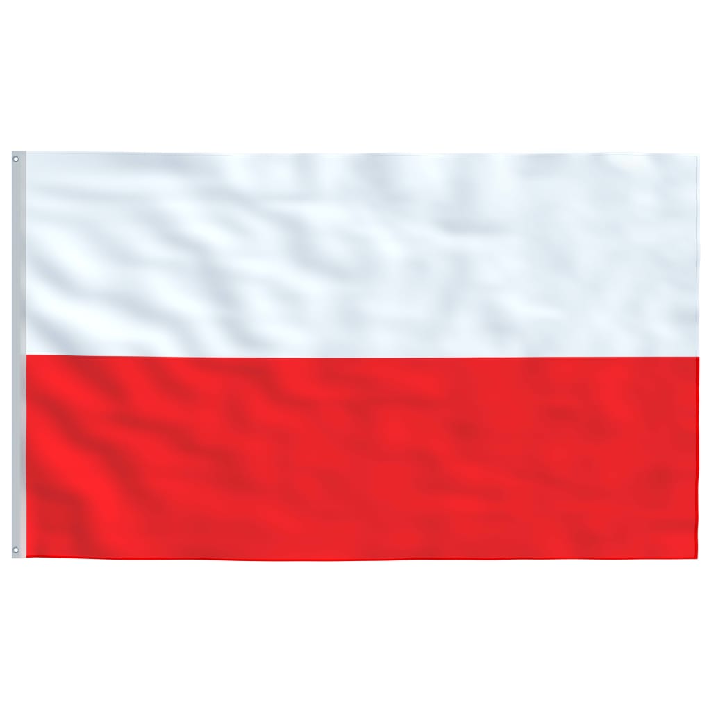 vidaXL Mástil y bandera de Polonia aluminio 5,55 m