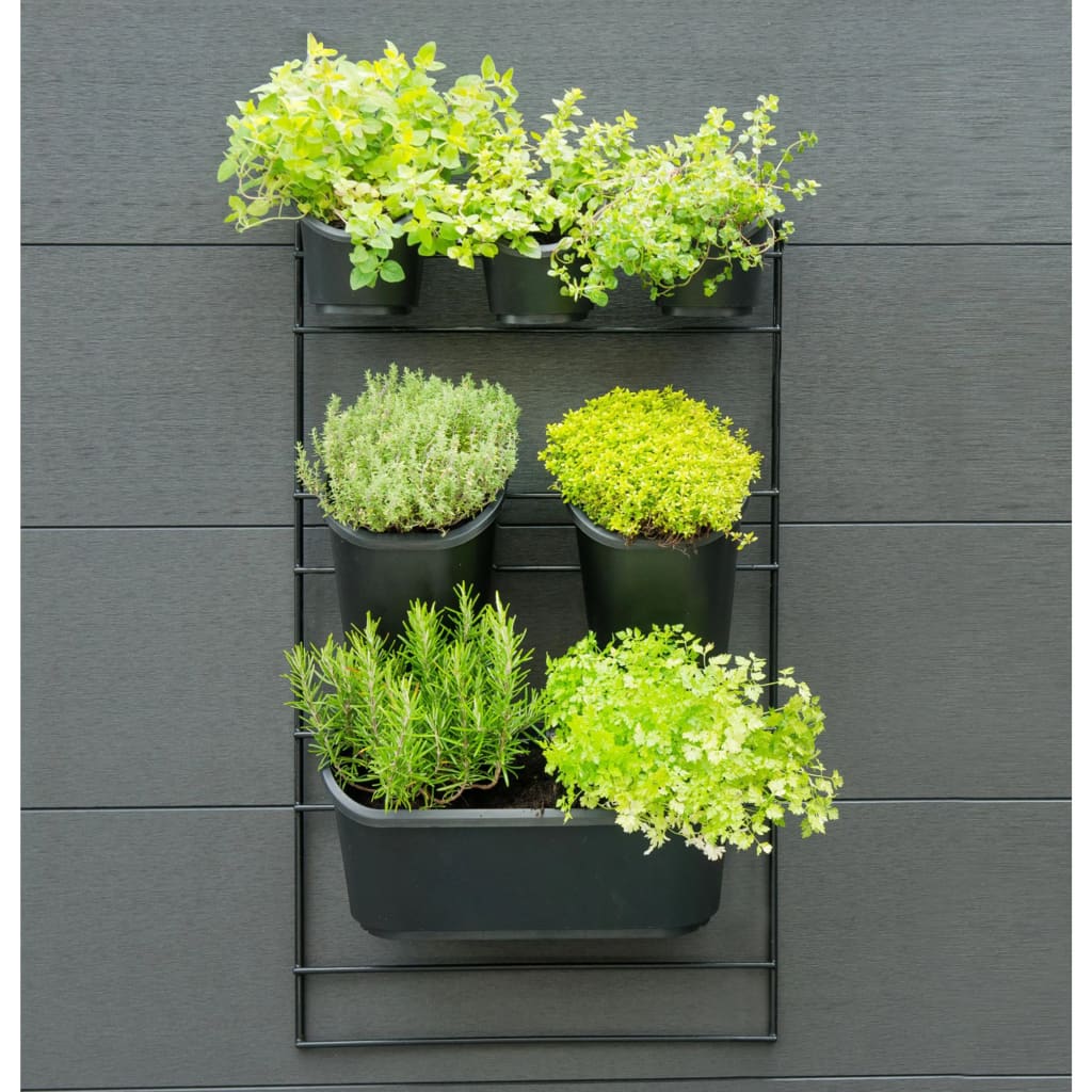Nature Kit de pared para jardín vertical