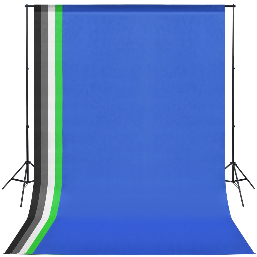 vidaXL Kit de estudio fotográfico con 5 fondos de colores y marco ajustable