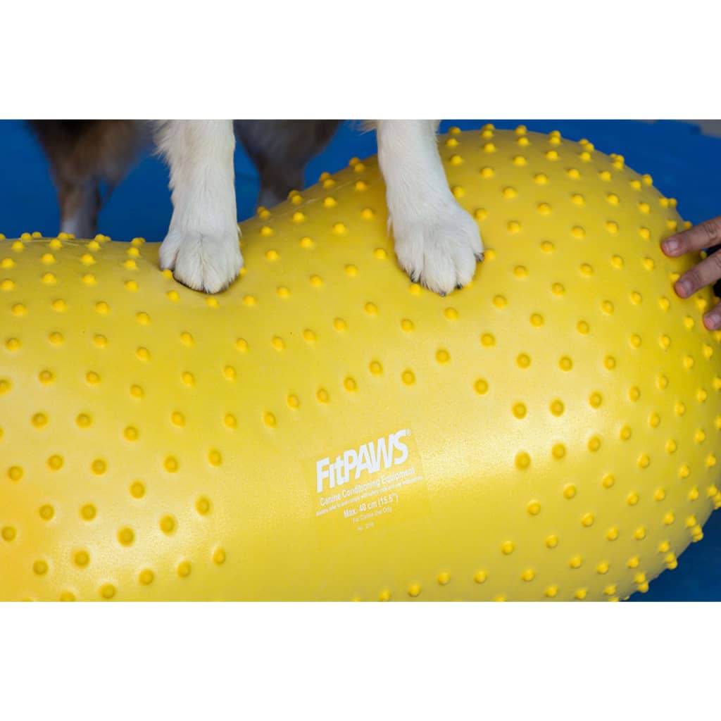 FitPAWS Plataforma de equilibrio mascotas Trax Peanut amarillo 40cm