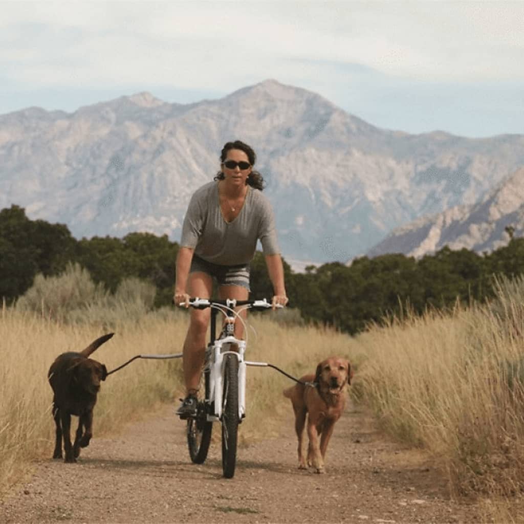 PetEgo Correa universal para bicicleta para perros Cycleash 85 cm