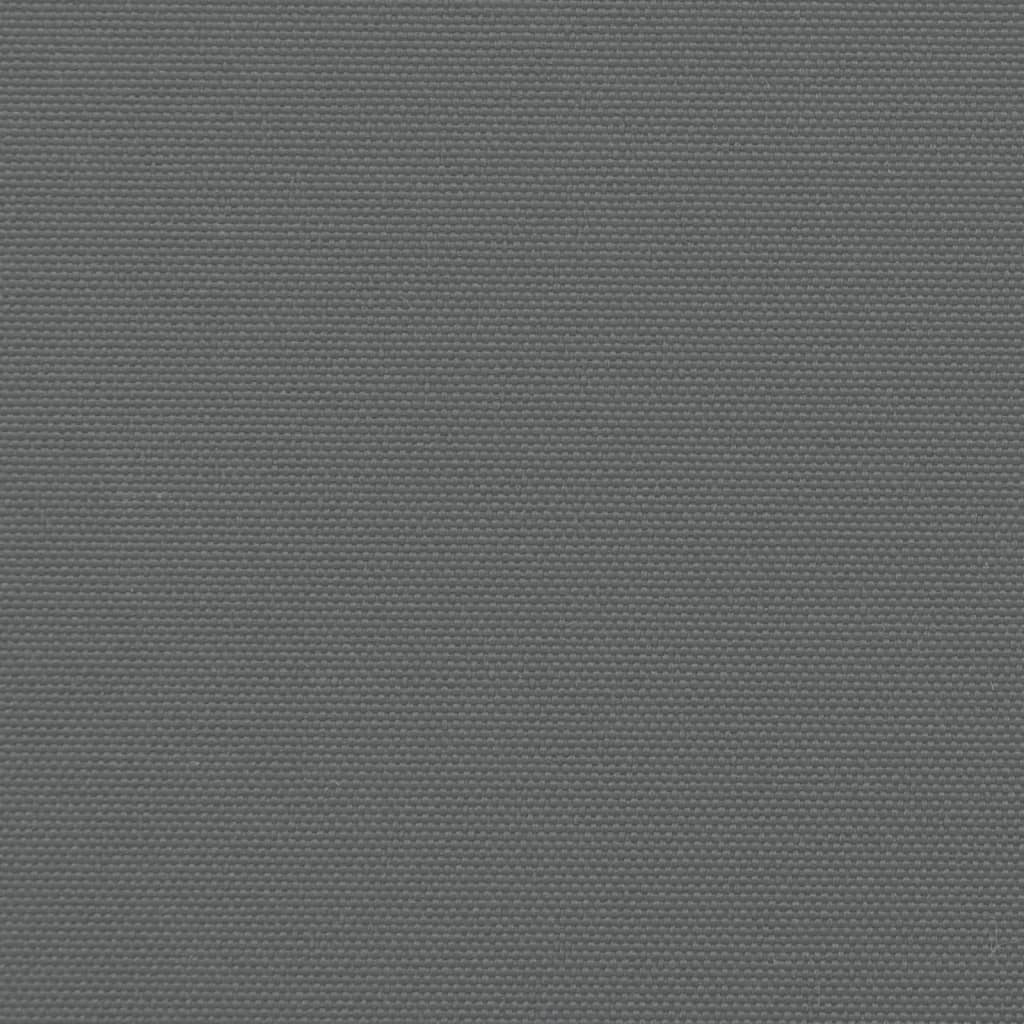 vidaXL Toldo lateral retráctil gris antracita 120x1000 cm