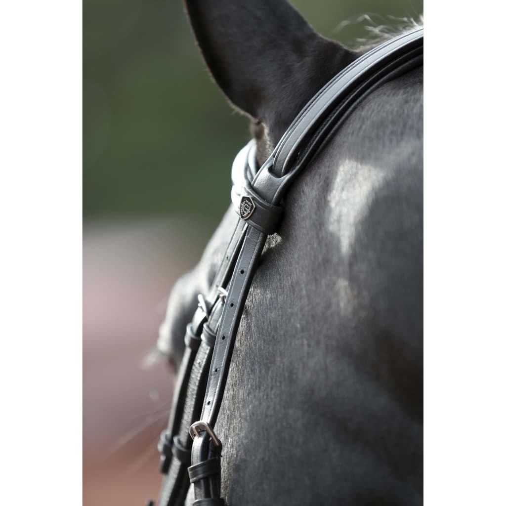 Covalliero Brida para caballos Cob Cancun negro