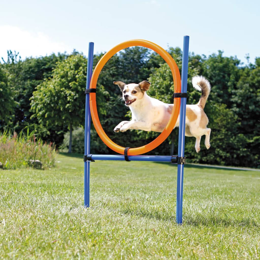 TRIXIE Aro de agilidad para perros 115x3 cm plástico 3208