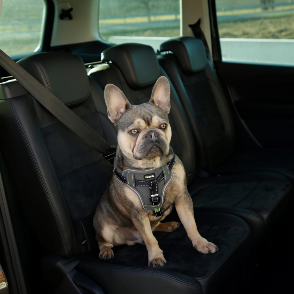 Kerbl Arnés de seguridad de coche para mascotas negro 44-55 cm