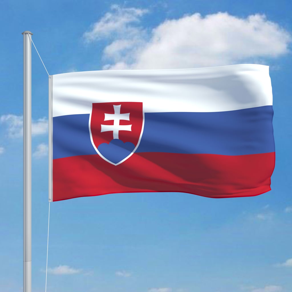 vidaXL Bandera de Eslovaquia y mástil de aluminio 6,2 m