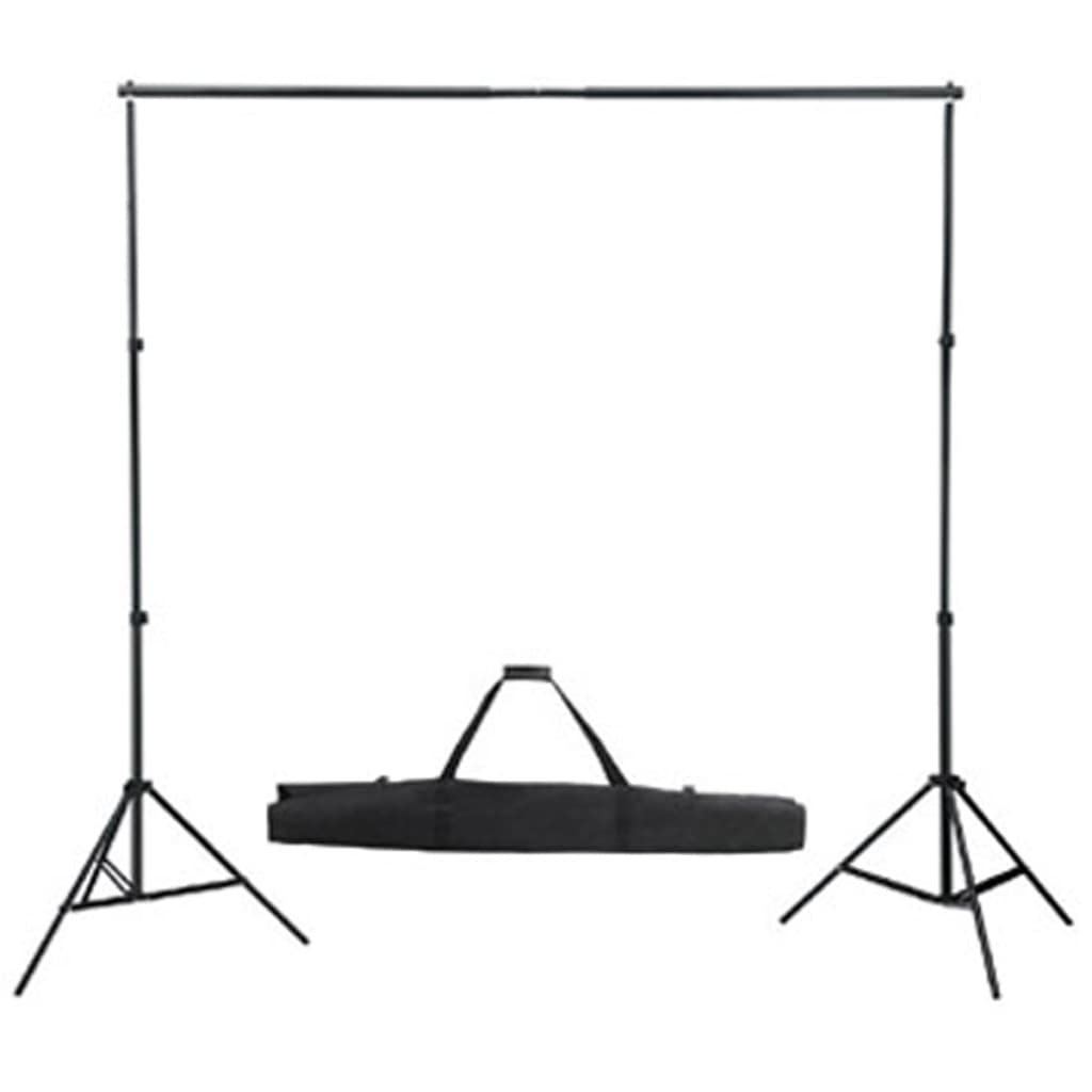 vidaXL Kit de estudio fotográfico telón fondo negro 600x300 cm y luces