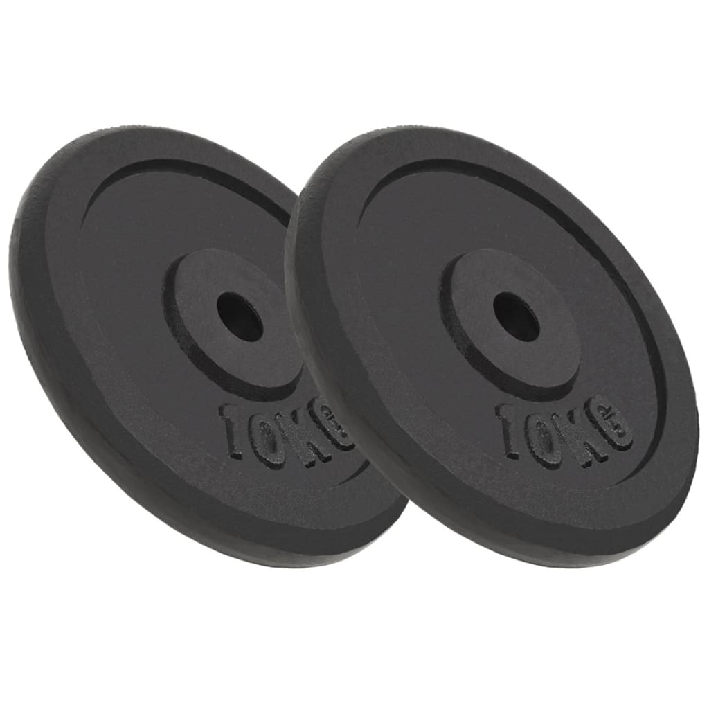 vidaXL Discos de pesas de hierro fundido 2 uds 2x10 kg