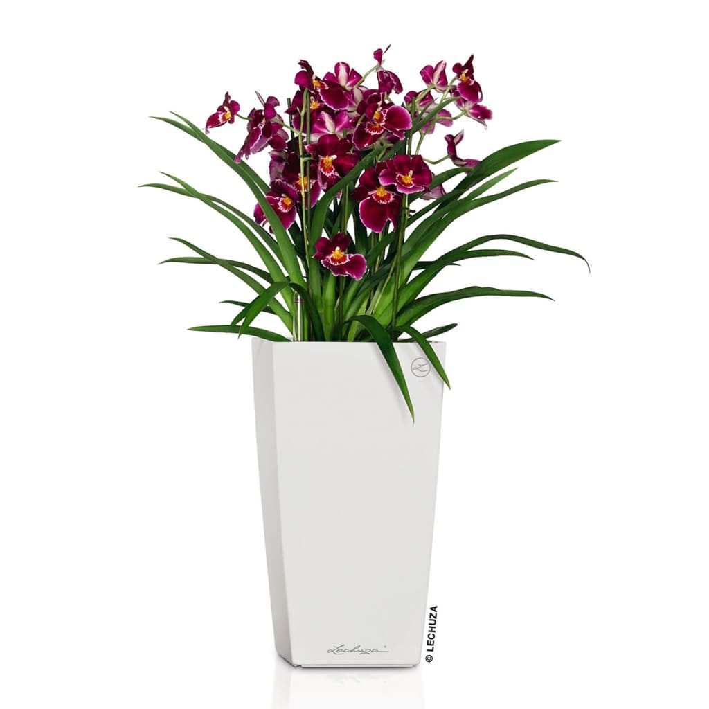 LECHUZA CUBICO Color 22 white 13160