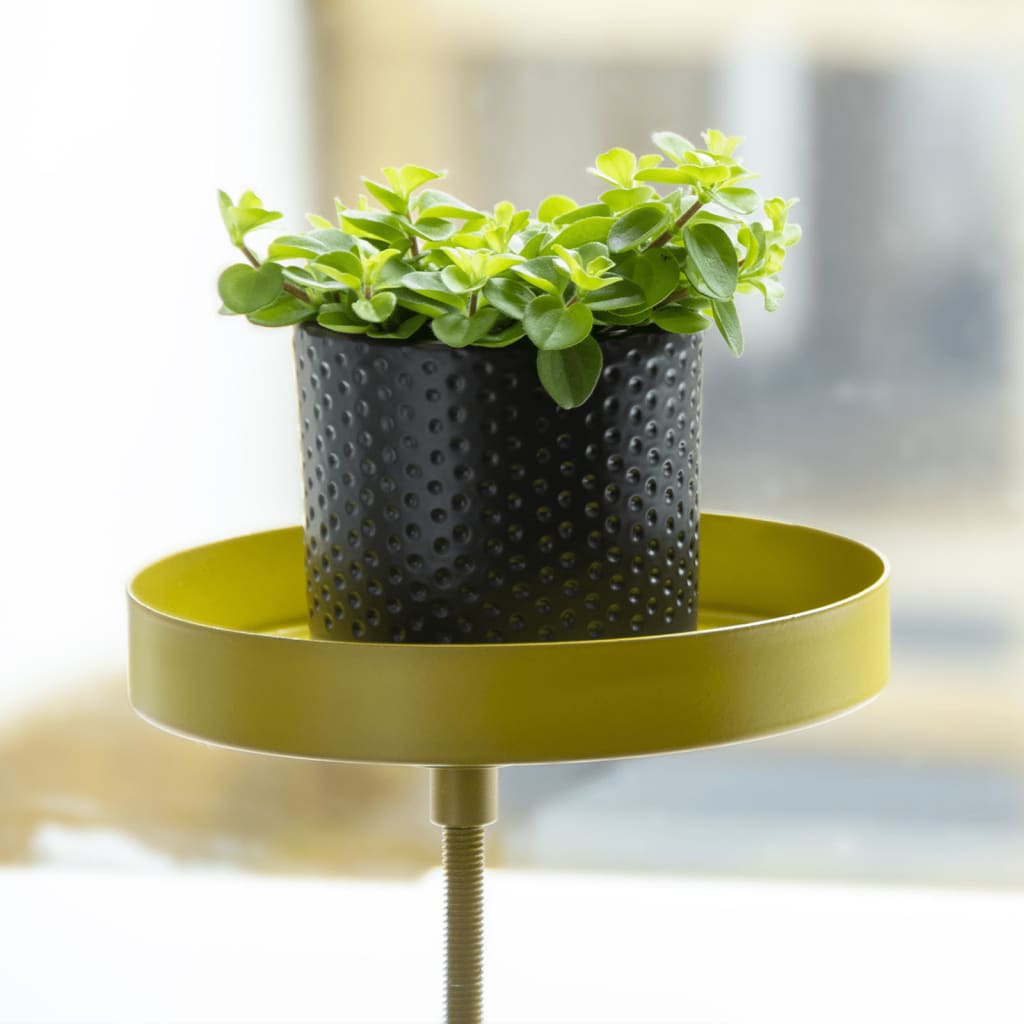 Esschert Design Bandeja para plantas con abrazadera redonda dorado S