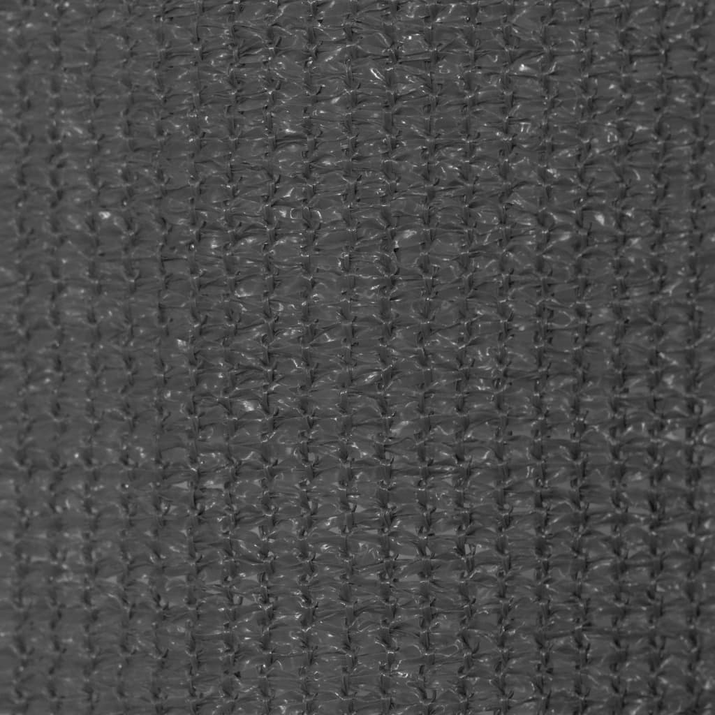 vidaXL Persiana enrollable de exterior 240x230 cm gris antracita