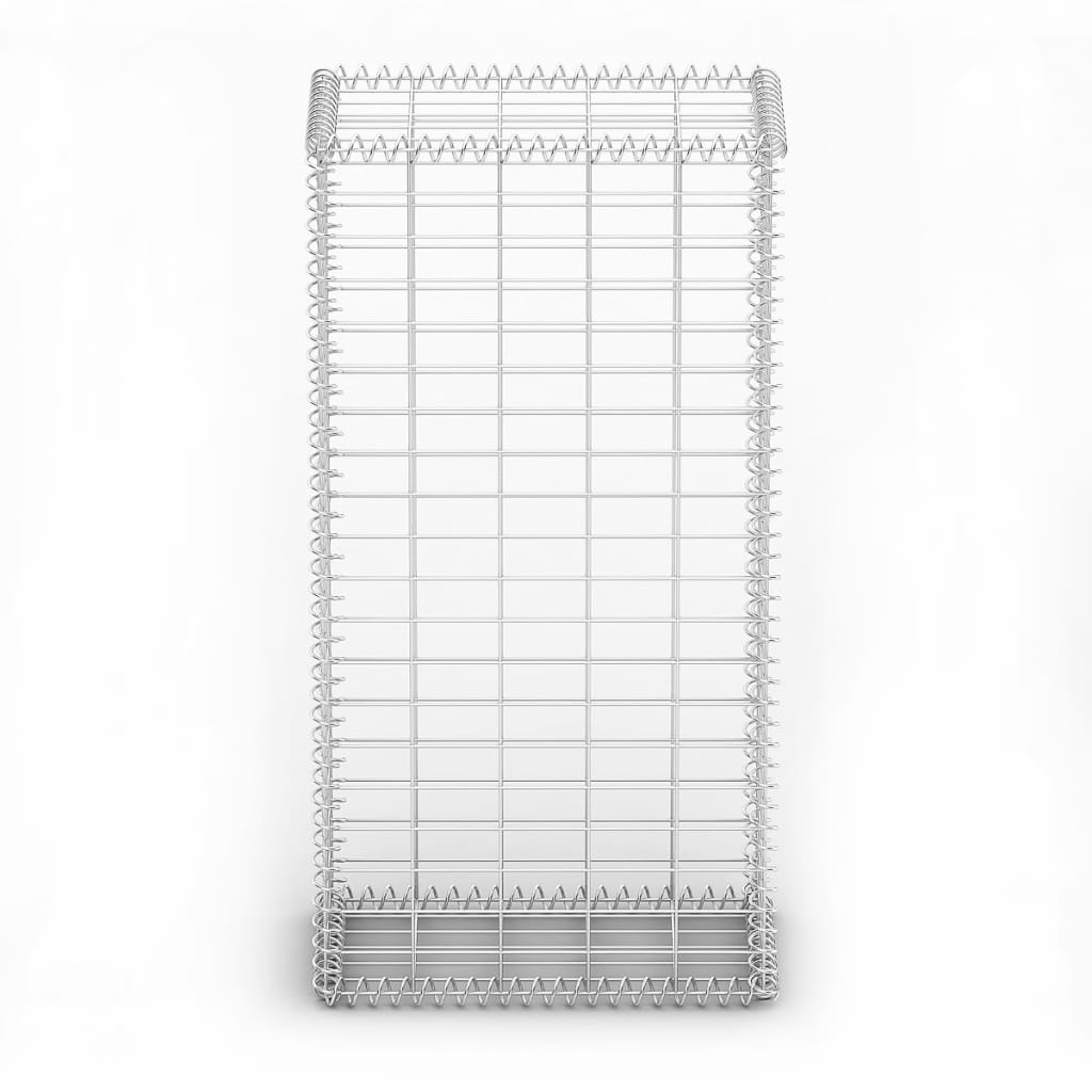vidaXL Cesta para muro de gaviones de alambre galvanizado 100x50x30 cm