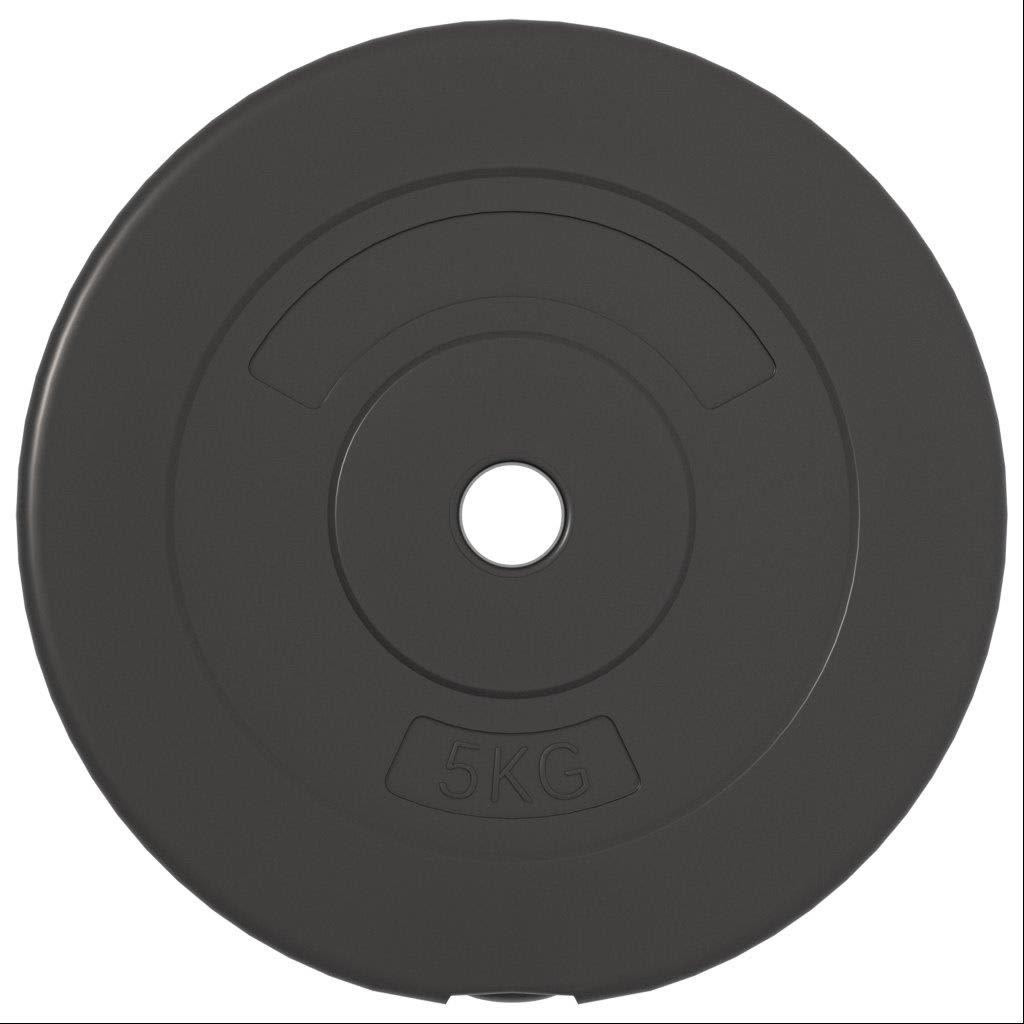 vidaXL Discos de pesas 6 piezas cemento 30 kg